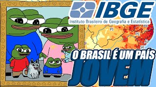 O BRASIL AINDA É UM PAÍS JOVEM Analisando os dados do IBGE [upl. by Alyk]