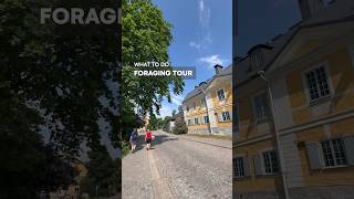 What to Do in Porvoo Finland  Foraging Tour with Runo Hotel [upl. by Yticilef]