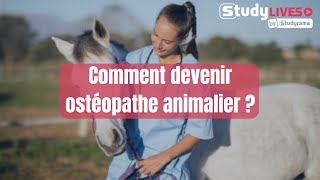 Comment devenir ostéopathe animalier [upl. by Neelrahc359]