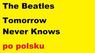 Beatles  Tomorrow Never Knows  po polsku  moje SWOBODNE tłumaczenie [upl. by Fredek900]