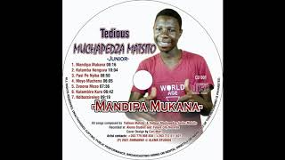 Tedious Muchapedza Matsito Jnr  Zvoona Meso MANDIPA MUKANA ALBUM 2021 [upl. by Humfrey125]