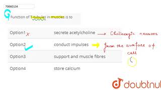 Function of Ttubules in muscles is to [upl. by Aleron]