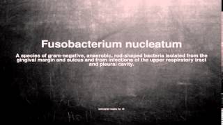 Medical vocabulary What does Fusobacterium nucleatum mean [upl. by Ilah]