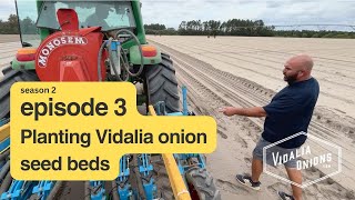 Episode 3  Planting Vidalia onion seed beds for 2025 crop [upl. by Irving]