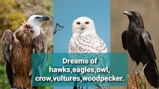 Dream interpretations in Islam  Meaning of dreams  Dreams of vultureeaglecrowowlOstrichhawk [upl. by Adnaw519]