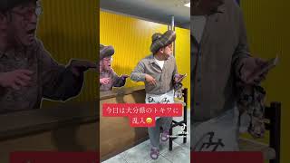 ひとみ婆さん Tiktok ver252 [upl. by Duvall]