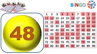 90Ball  Bingo Caller Game1 New [upl. by Annaerda]