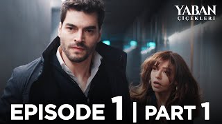 Yaban Çiçekleri Episode 1  Part 1 Subtitled in English YabanCicekleriEnglish [upl. by Rogerson]