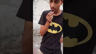 Lovebirds cute l youtubeshorts Lovebirds funny quran islam [upl. by Torras]