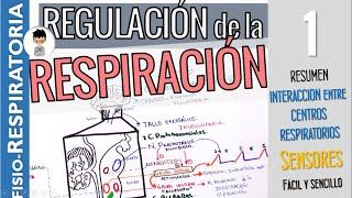 REGULACIÓN DE LA RESPIRACIÓN Resumen QUIMIORECEPTORES para la pO2 pCO2 Fisiología Respiratoria1 [upl. by Annelak]