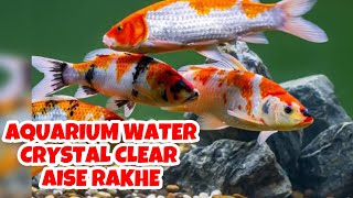 How To Keep Aquarium Water Clean [upl. by Baoj860]