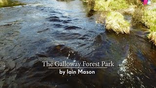 Galloway Forest  Clatteringshaws Dam  From the air [upl. by Blackburn]