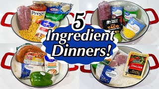 5 TASTY ONE POT MEALS  5INGREDIENT RECIPES  DINNERS MADE FAST amp EASY  JULIA PACHECO [upl. by Schoenberg]