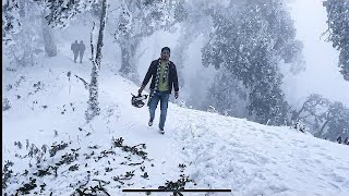 Nainital Snowfall 2024🥶❄️🔥 Live Snowfall In Naina peak Nainital 1st February 😍 [upl. by Lilith]