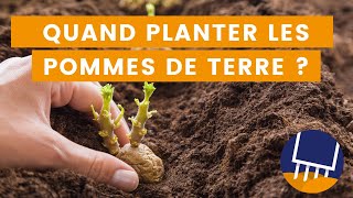 Quand planter les pommes de terre  Les astuces en fonction de votre région [upl. by Weasner]