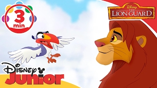 Musical Moments  The Lion Guard Duties Of The King  Disney Junior UK [upl. by Dranyl]