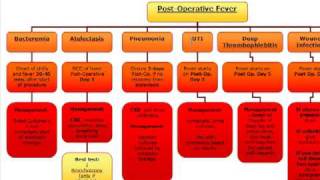 Surgery Algorithm PostOperative fever [upl. by Nevak493]