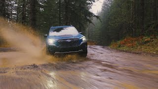 The New 2022 Subaru Forester Wilderness [upl. by Otes288]