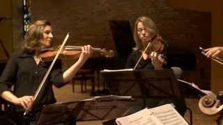 Haydn String Quartet No 53 in D Major Op 64  quotThe Larkquot [upl. by Raouf]