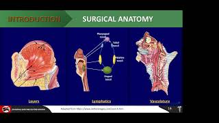 Oropharyngeal SCC An Overview Dr Dadi Hassan [upl. by Arhaz]