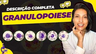 Leucocitos Granulopoiese  Descrição dos Granulócitos completa biologia biomedicina [upl. by Yelrebmik]