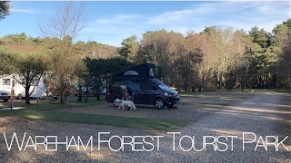 OUR FIRST FILM Wareham Forest Tourist Park  VW California T6 [upl. by Simmons]