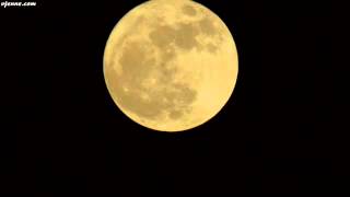 Ronny Guter mond du gehst so stille  YouTube2 [upl. by Tricia355]