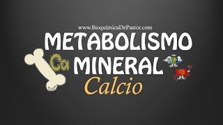 Metabolismo del Calcio  Bioquímica de Pastor [upl. by Ardnnaed]