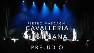 P Mascagni  Cavalleria Rusticana Preludio  Direttore David DAlesio [upl. by Brazee505]