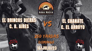 EL BRINCOS DIERAS VS EL CHANATE 16 JUL 23 CLUB HIPICO AGUA NUEVA [upl. by Anahsohs]