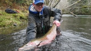 24 Pound Steelhead Bobber amp Pink Worm Oregon Coast Fishing [upl. by Hsekin352]