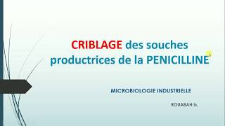 CRIBLAGE des souches productrices de la Pénicilline ROUABAH Is [upl. by Sisxela]