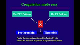 Process of Blood Coagulation  Step by Step Explanation Physiology Quick Review [upl. by Stieglitz]