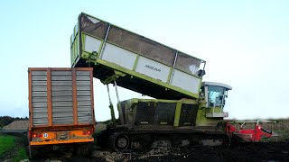 HD Kettenhäcksler Einsatz in Ostfriesland 2012 [upl. by Fawna]