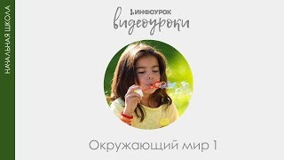 Я и моя семья  Окружающий мир 1 класс 5  Инфоурок [upl. by Lois]