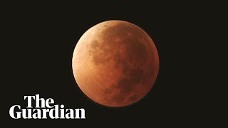 A blood moon is coming Heres what you need to know [upl. by Kihtrak]