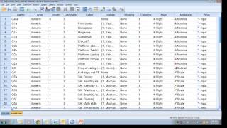 SPSS Codebook [upl. by Riannon]