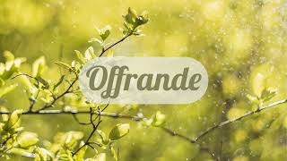 Offrande  Paul Baloche  Cover [upl. by Nosredneh]