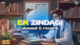 Ek Zindagi Slowed  Reverb  Angrezi Medium  Sabki Rok Hai Tok Hai [upl. by Nylesoy]