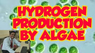 HYDROGEN PRODUCING ALGAE  TAMIL EXPLANATION  பாசிகளால் ஹைட்ரஜன் உற்பத்தி [upl. by Werbel]