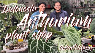 Karteldaun  Rare Anthurium Plant Shop In Indonesia  Tour with Founder [upl. by Eyeleen]