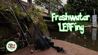 Multi Species Fishing with Micro Lures  LRF Style Fishing [upl. by Audris663]