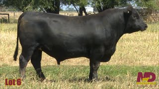 Lot 06 Merridale Thomas CMD22T5 [upl. by Oelak]