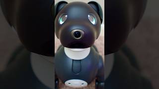 aibo Espresso special edition eye colors [upl. by Ytima]