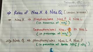 Response to Anaerobiosis2 The Nar System [upl. by Netnerb383]