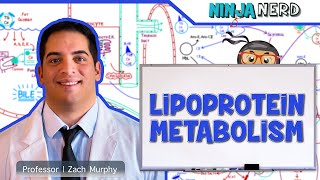 Metabolism  Lipoprotein Metabolism  Chylomicrons VLDL IDL LDL amp HDL [upl. by Brunhilde]