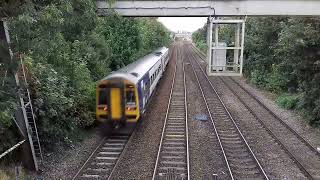 Trains  Hexthorpe Park  04 09 24 Part 2 [upl. by Adniled378]