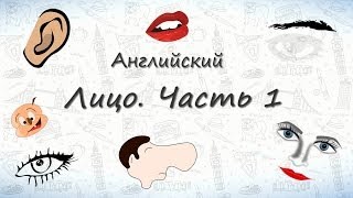 Части лица на английском часть 1 Запоминаем части лица на английском [upl. by Seyler821]