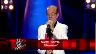 Auditii pe nevazute  Prima Editie  Aurel Niamtu  Vocea Romaniei 2013 S3 [upl. by Joceline]