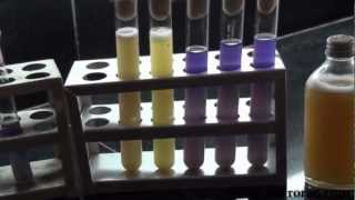 Bacteriological analysis of water by multiple tube method [upl. by Vickey]